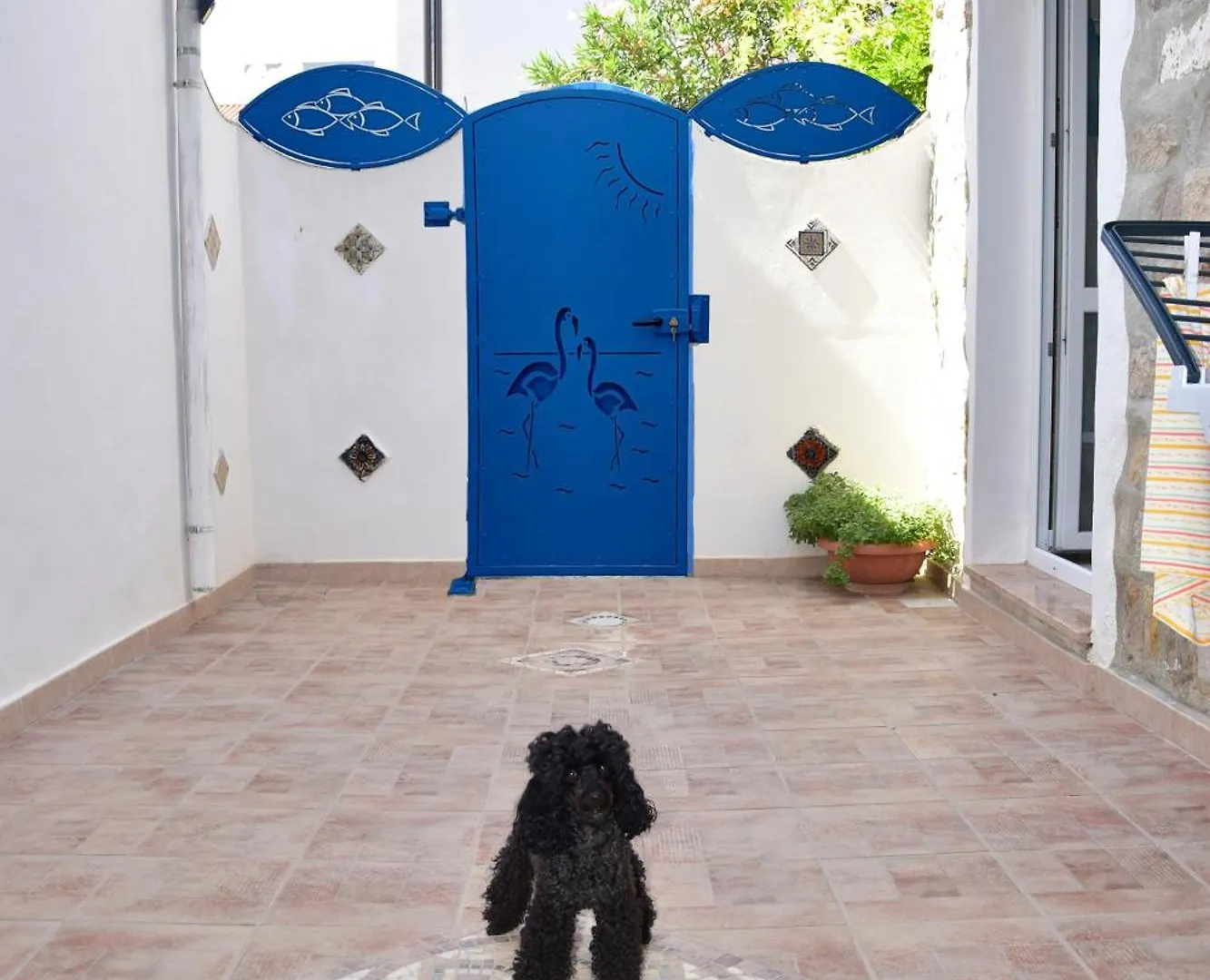 בית נופש הוילה קאלאסטה Casa Iolanda
